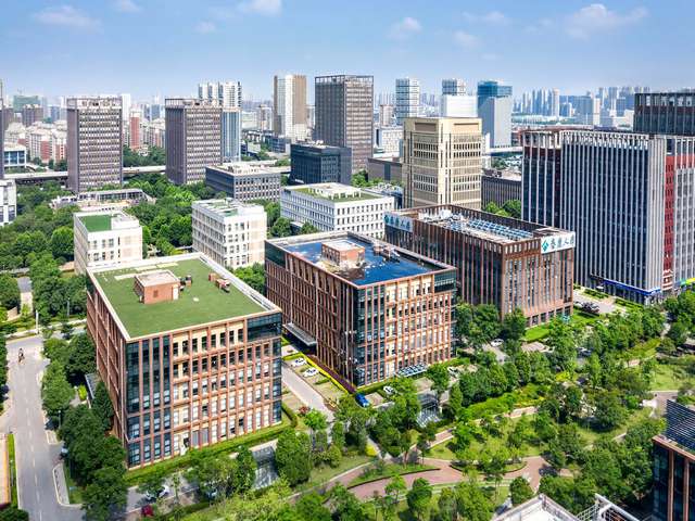 浦东办公室绿植租赁种类