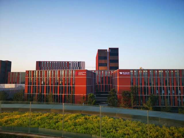 黑龙江金宇液压油缸出厂价