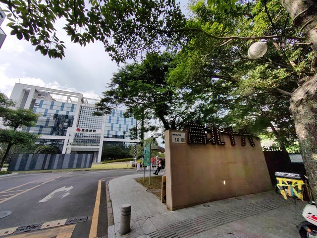 深圳专业的宠物会所服务咨询